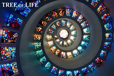 The Tree Of Life Wallpapers HD 18