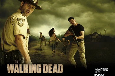TERROR EN EL CINE. : THE WALKING DEAD. (WALLPAPERS HD)