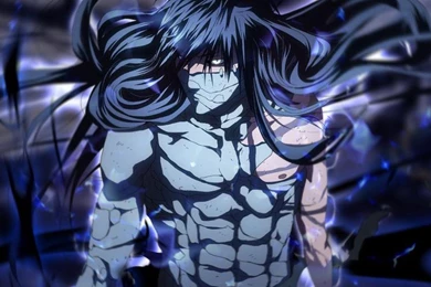 Mugetsu Wallpapers   (