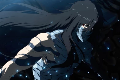 Kurosaki Ichigo   Mugetsu   Bleach Wallpapers