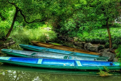 High Resolution Wallpapers Amazing Pictures   Fullwidehd.com