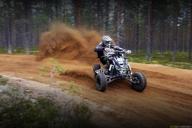 Can Am DS 450 Atv Quad Offroad Motorbike Bike Dirtbike Dq ...