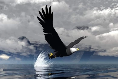 3D Moving Wallpapers