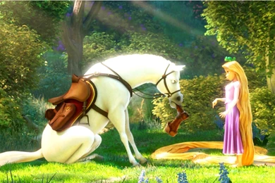 Rapunzel Wallpapers   Disney Princess Wallpapers (28959014)   Fanpop