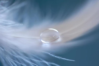 ANGEL TEAR WALLPAPER   (