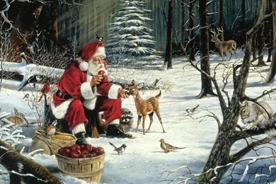 Santa Claus Wallpapers – Set 03