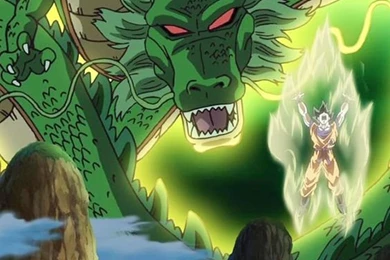 Dragon Ball Z Shenron And Goku