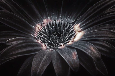 Artworks, Hd Images, Cool Wallpapers, High Resolution Backgrounds ...