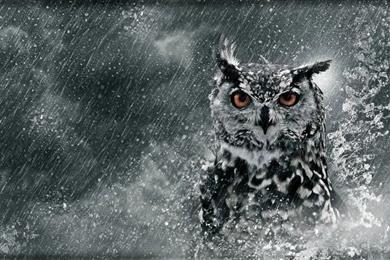 Stan Ragets Blog – The Watchman