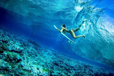 Hd Landscape Images, Amazing Landscape, Free Nature Images ...