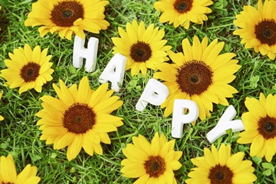 Happy Life HD Wallpapers