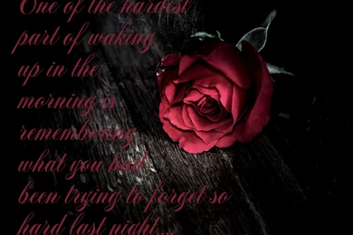 Free Download 25 Best Love Wallpapers With Quotes