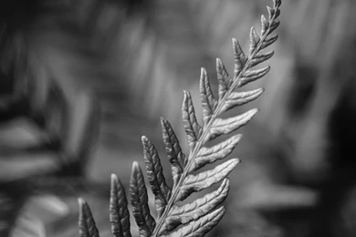 HTC One M8 HD Wallpapers Free   Download Here