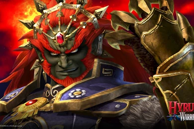 Official Site   Hyrule Warriors For Wii U