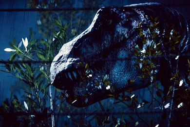 Jurassic World 2015 Movie HD Wallpapers   Sharenator