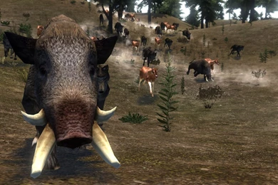 Savage Call Image   Lands Of Acrylia Mod For Mount & Blade ...