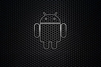 Android Wallpapers HD STAY016