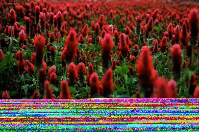 Magazines time: Pictures For Computer Wallpaper Backgrounds Free ...