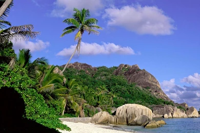 Free Wallpaper Backgrounds