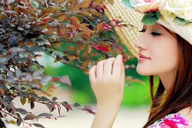 Cute Desktop Wallpapers For Girls