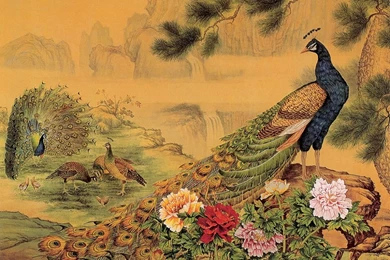 Peacock Birds Nice Painting Poster For Walls Hd Wallpapers And ...