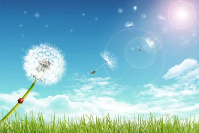 Hot Summer Wallpapers Hd In The Praire