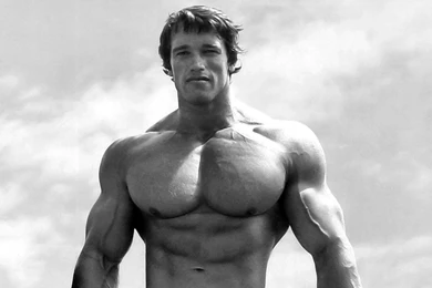 Arnold Schwarzenegger
