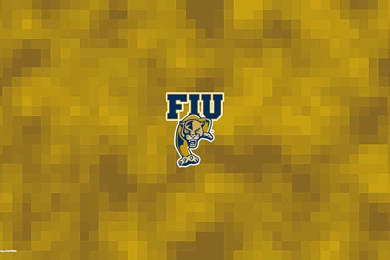 Fiu Panthers Wallpapers 2/4
