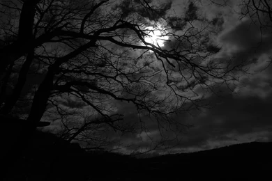 Dark Night By Rad Wulf On DeviantArt