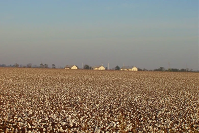 FIU Panthers Prowl: October 2011