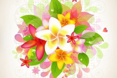 Abstract Floral Backgrounds With Frangipani, Isolated On White ...