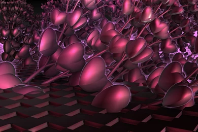 Heart Computer Wallpapers, Desktop Backgrounds