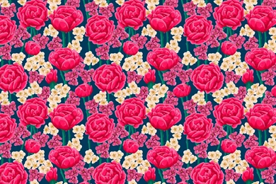 HD Backgrounds Pink Red Rose Pattern Texture Flowers Vector Design ...