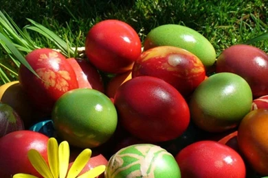 8 Awesome 1080p iPhone Nature HD Wallpapers   Birthday Wishes, 3D ...