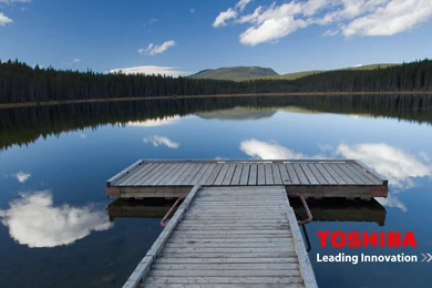 Toshiba Widescreen TV (22BL702B) Scored 81   Bugscore.com