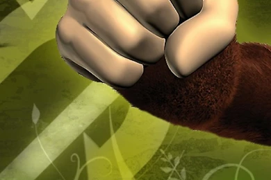 Donkey Kong iPhone 5 Wallpapers