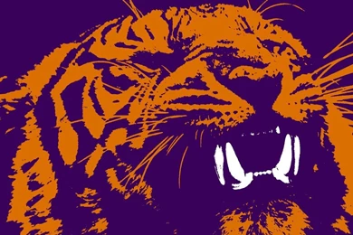 Clemson Tigers Wallpapers Pictures
