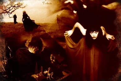 Wallpapers Music > Wallpapers Smashing Pumpkins Adore By ...