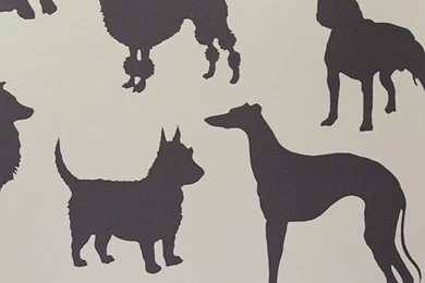 Best In Show In Cream