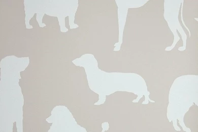 Best In Show   Finest Wallpapers