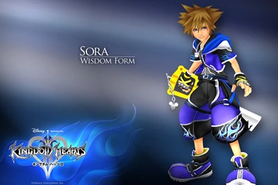 Kingdom Hearts Sora Kingdom Hearts Video Games Wallpapers ...