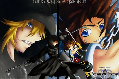 Jestingstock.com Sora And Roxas Wallpapers