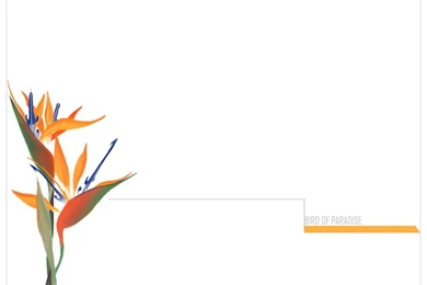 Be Different Wallpapers By Megil TelZeke On DeviantArt