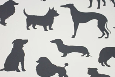 Osborne And Little Grand Tour Best In Show Wallpaper: Designer ...