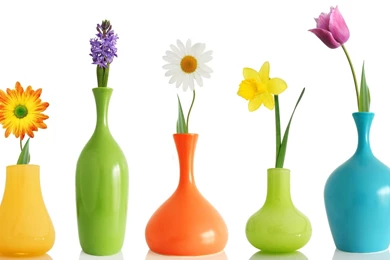 Download Wallpapers 1920x1080 Flowers, Vase, Shape, Different Full ...