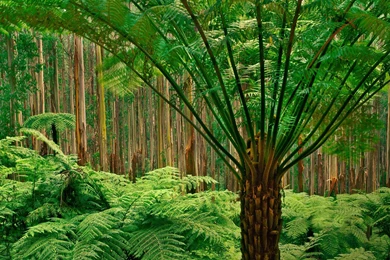 Different >> HD Wallpaper, Get It Now!