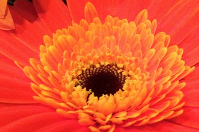 Set Different Wallpapers Archives   Dirk Strauss