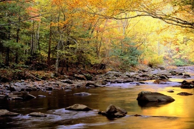 River Beautiful Pics Widescreen Nature Hd Wallpapers Desktop ...