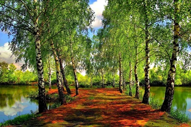 Landscape, Spring, Cool Nature Wallpapers, Amazing Landscape ...