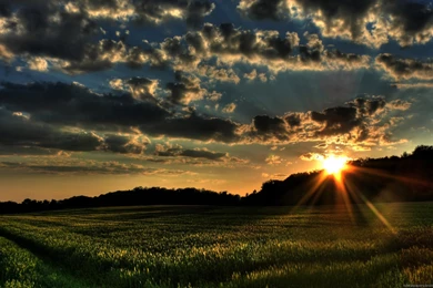 Beautiful Nature Photos With Quotes In Nature, Nothing Is Perfect ...